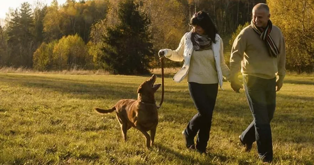 Center Parcs huisjes met hond en bubbelbad
